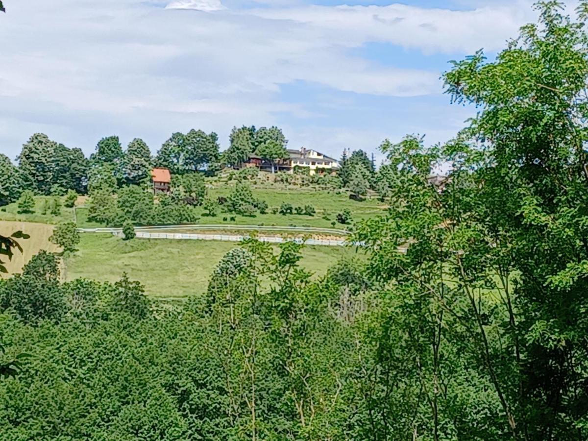 Country House Na Malenom Brijegu Бьеловар Экстерьер фото