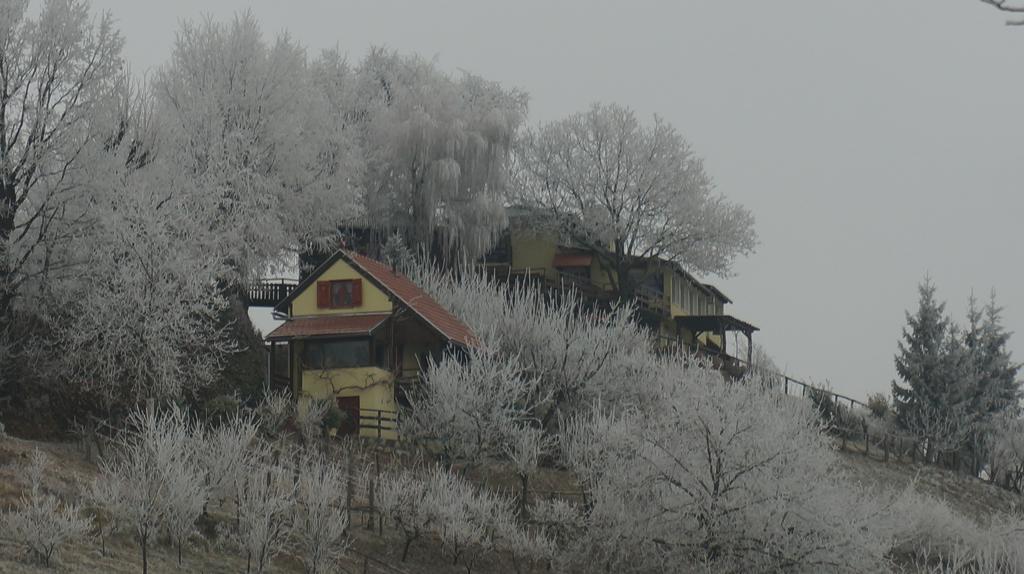 Country House Na Malenom Brijegu Бьеловар Экстерьер фото